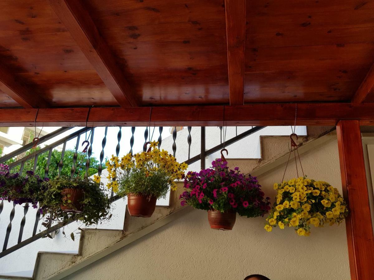 Sobe Nedovic Guest house