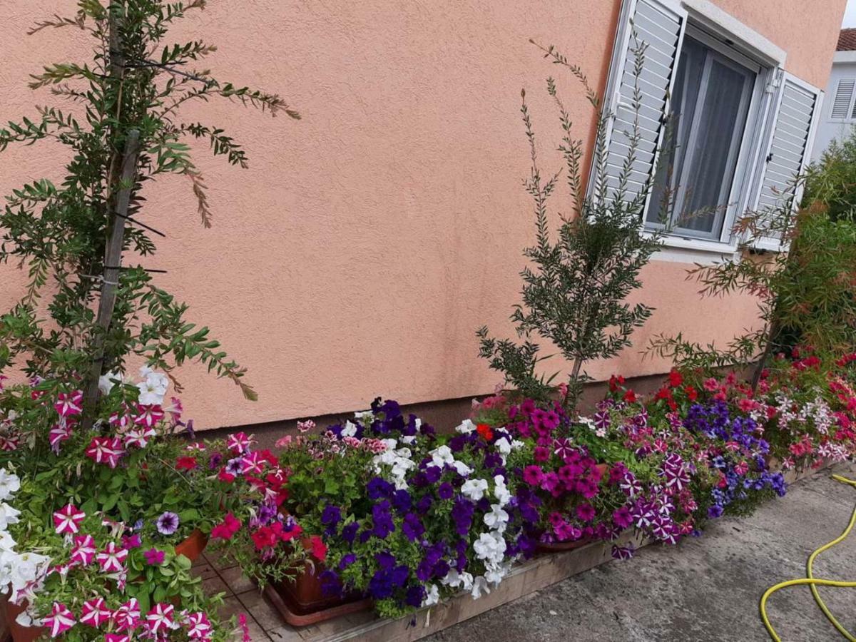 Sobe Nedovic Guest house 3*